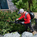 e309faee-f778-4a39-e9ed-08dd925937a3